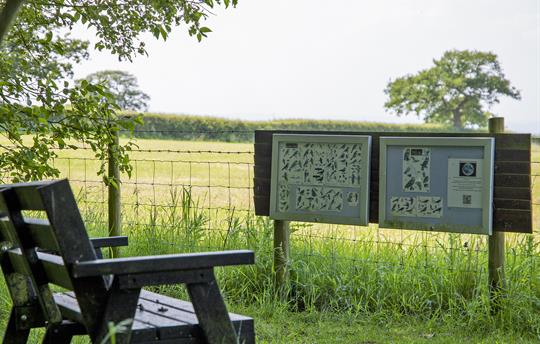 Enjoy our peaceful Bird Watching area