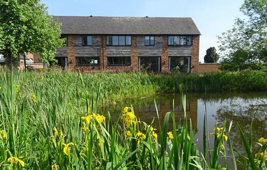 Buttercups with wonderful views