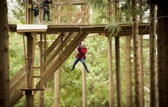 Go-Ape at Mallard's Pike - 3 miles