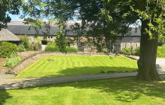 Sunny lawn and views towards outbuilding