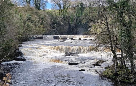 Aysgarth Falls
