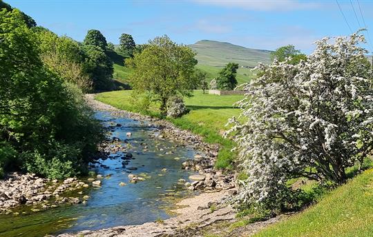 River Ure at Bainbridge