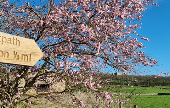 Bolton Castle Wensleydale