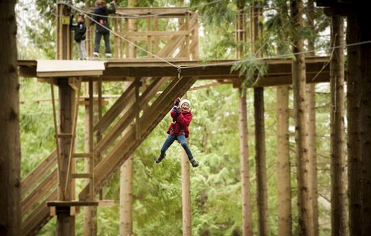 Go-Ape at Mallard's Pike - 3 miles