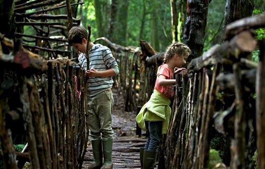 Uncover hidden wonder on Puzzlewood adventure walk