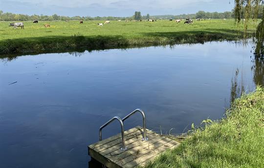 Wild Swimming Platform