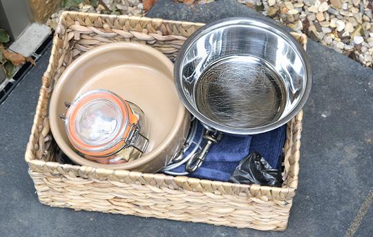 We welcome up to 3 dogs