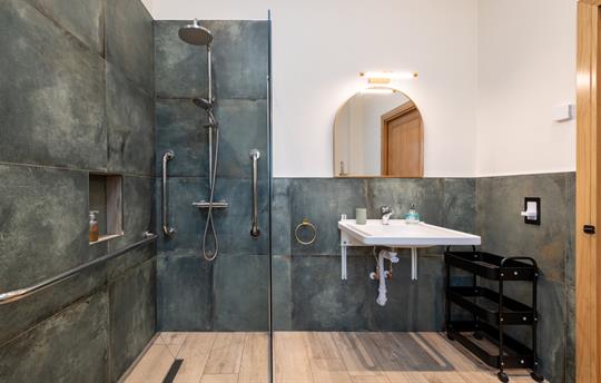 Shower with two grab rails and sink with handles