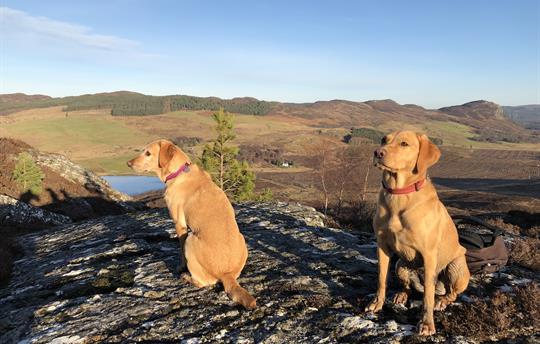 Wish and Breagha on Stac Gorm