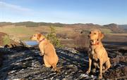 Wish and Breagha on Stac Gorm