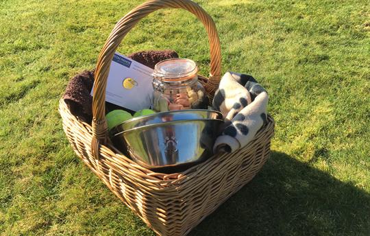 Welcome hamper to spoil your four-legged friend(s)