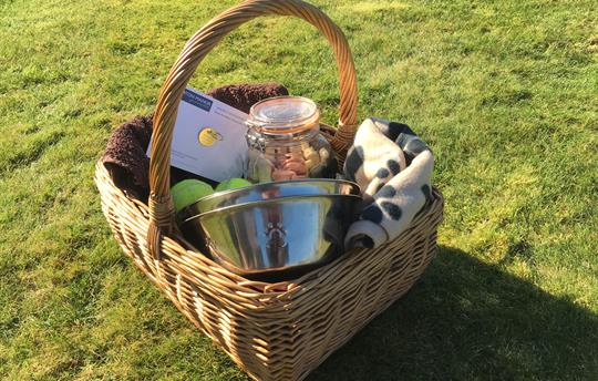 Welcome hamper to spoil your four-legged friend(s)