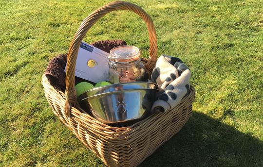 Welcome hamper to spoil your four-legged friend(s)
