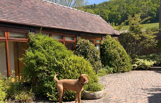 Dog-friendly cottage with enclosed outdoor spaces