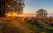 Sunrise in the front field