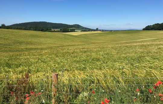 Open Herefordshire Countryside 
