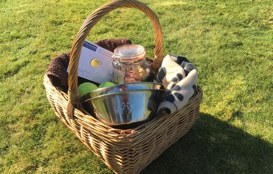 Welcome hamper to spoil your four legged friend(s)