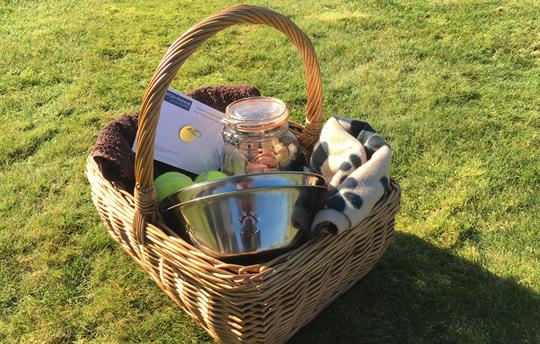 Welcome hamper to spoil your four legged friend(s)