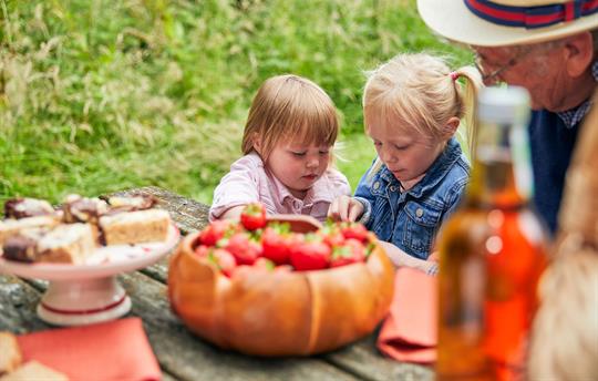 Picnic areas around the estate to enjoy