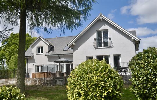 Front of Capercaillie 