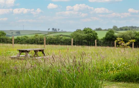 Views across the fields