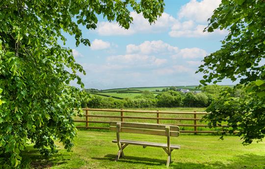 Views across the fields