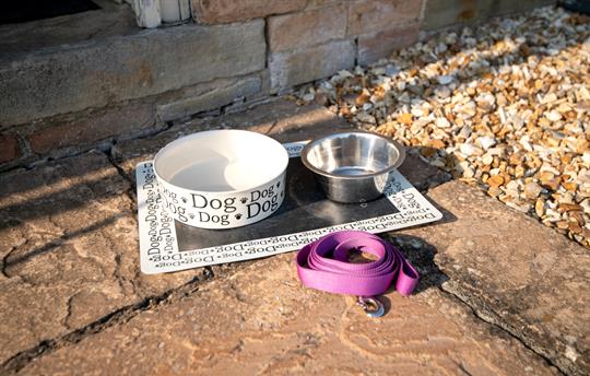 Dog bowls provided