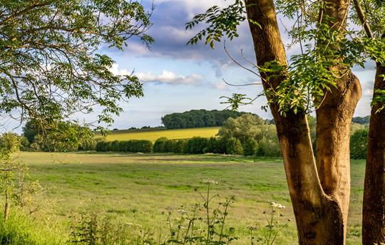 Views from the cottage