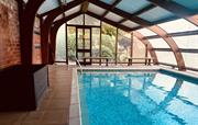 Pool door