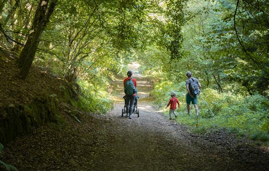 Forest walks from your holiday home