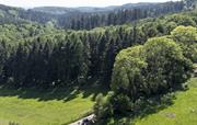 Our Location Walk for Miles — No Roads, Just Trees