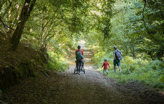 Forest walks from your holiday home