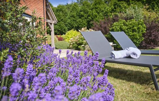 Beautiful garden with stunning flower beds