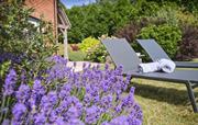 Beautiful garden with stunning flower beds