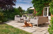 Beautiful, fully fenced - dog friendly garden
