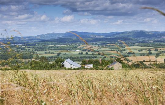 Beautiful  location and amazing views all around