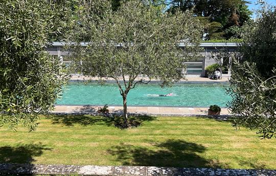 Shared outdoor Ozone pool