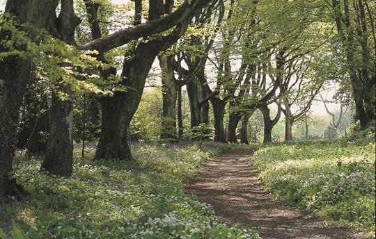 Trelowarren walks through the estate
