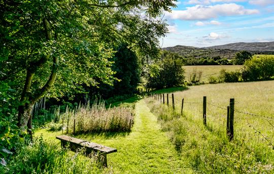 Path to the paddock at Gwanas Fawr