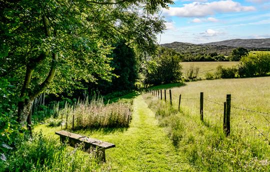 Path to the paddock at Gwanas Fawr