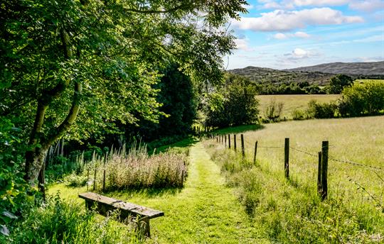Path to the paddock at Gwanas Fawr