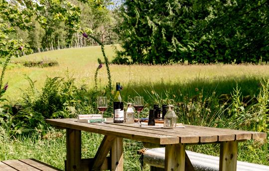 Picnic table by the stream at Gwanas Fawr