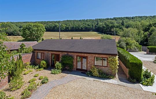 Family & Dog-Friendly Escape for Up to 8