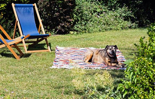 Dogs welcome – amazing walks start at the doorstep