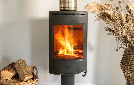 wood burning stove