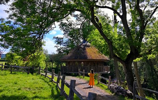 Eathelin from the track