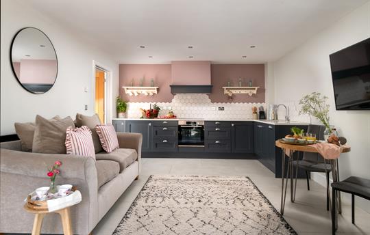 Open Plan living room and kitchen