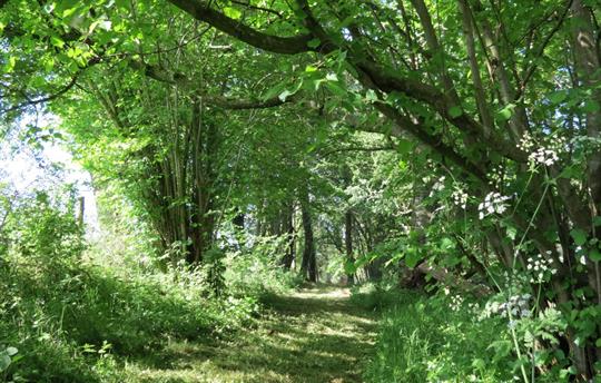 An abundance of romantic walks