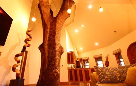 Viviannas tree growing up through the treehouse