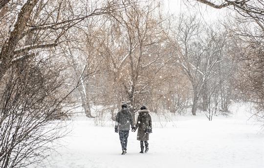 Cotswold Winter Walk